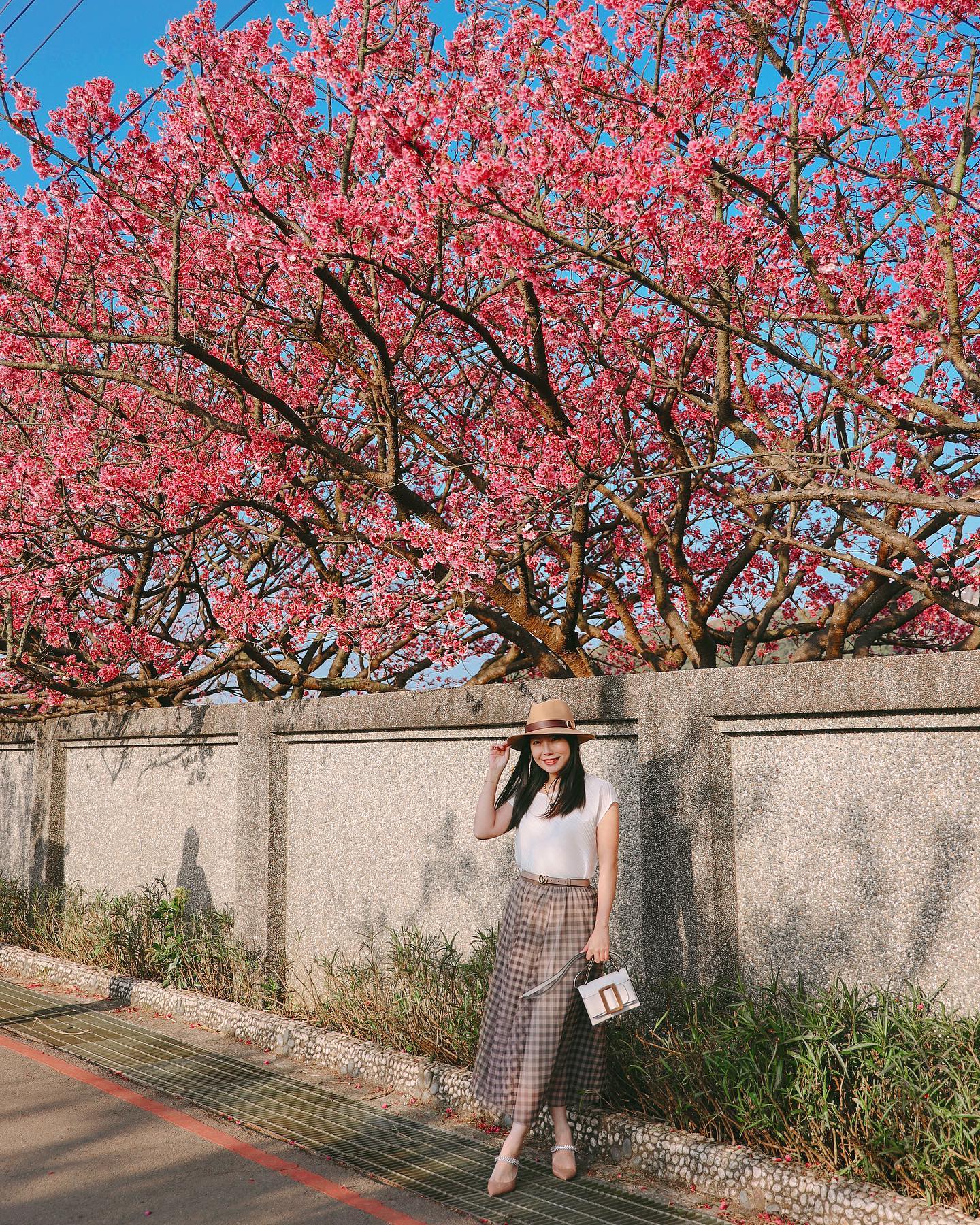 Sheer Gingham Midi Skirt with Elastic Waistband